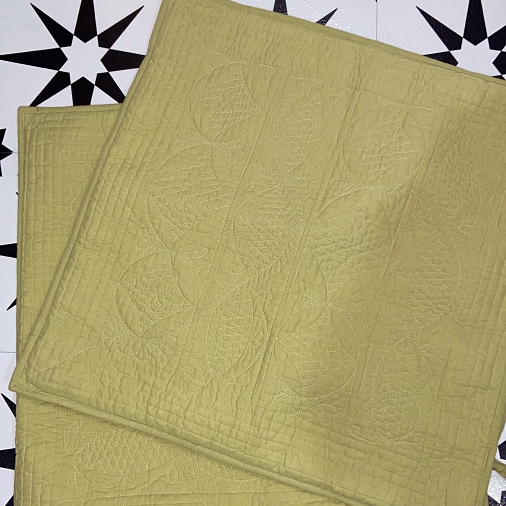 POTTERY BARN PB 2 Euro Shams Beautiful Cotton Soft Green